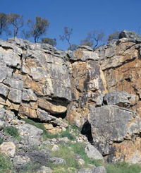 Watheroo National Park - Wagga Wagga Accommodation