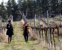 Mount Majura Vineyard - Accommodation Tasmania