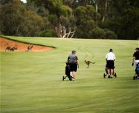 Federal Golf Club - Wagga Wagga Accommodation