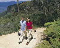 Blue Mountains Walking Tracks - Accommodation Cooktown