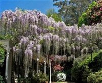 Nooroo Gardens - Attractions Melbourne