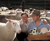 Prom Country Cheese - Accommodation Tasmania
