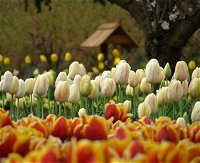 Tulip Top Gardens - Accommodation Broadbeach