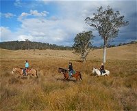 Chapman Valley Horse Riding - Attractions Melbourne