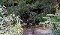 Leura Cascades Fern Bower - Accommodation Mooloolaba