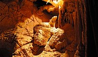 Fig Tree Cave - Attractions Melbourne