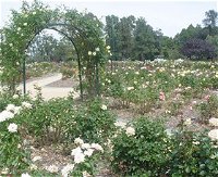 Victoria Park Rose Garden - Accommodation in Bendigo