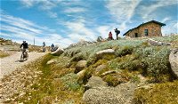 Mount Kosciuszko Summit walk - Accommodation Brunswick Heads