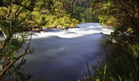 River walk - Accommodation Tasmania