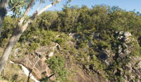 Boonoo Boonoo National Park - QLD Tourism