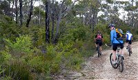 McMahon's Point ride - Wentworth Falls - Accommodation BNB