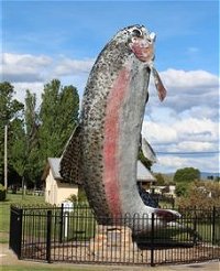 Big Trout - Find Attractions