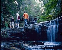 South Lawson Waterfall Circuit - Accommodation Brunswick Heads
