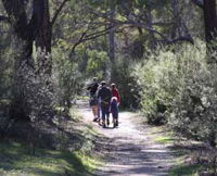 Syd's Rapids and Aboriginal Heritage Trail Avon Valley - Accommodation Bookings