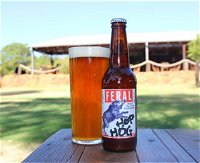 Feral Brewing Company - Accommodation Cooktown