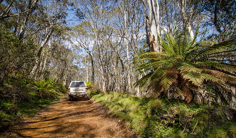 Moonan Brook NSW Tourism TAS