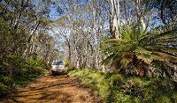 Barrington trail - QLD Tourism