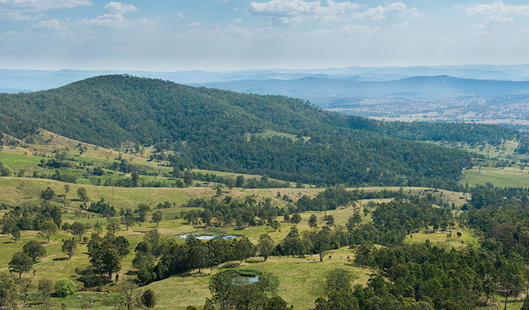 Brumby Plains NSW Attractions Brisbane