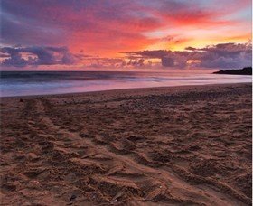 Mon Repos QLD Surfers Paradise Gold Coast