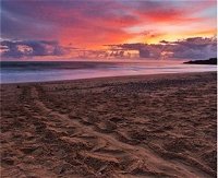 Mon Repos Beach - Whitsundays Tourism