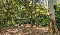 Tooloom National Park - Accommodation Cairns