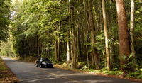 Greater Blue Mountains drive - Gold Coast Attractions