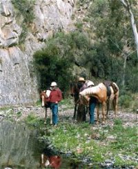 Yarramba Horse Riding - Accommodation Brunswick Heads