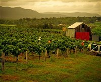 Around Hermitage Wine and Food Trail Hunter Valley - Accommodation Newcastle