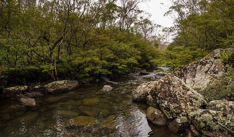 Gloucester Tops NSW Australia Accommodation