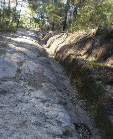 Bucketty NSW Tourism Search