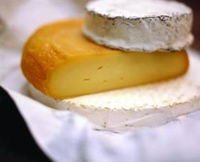 Hunter Valley Cheese Company - Attractions Brisbane