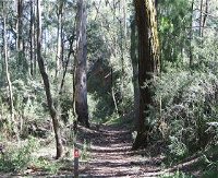 Box Vale Mine Walking Track and Lookout - Accommodation Resorts