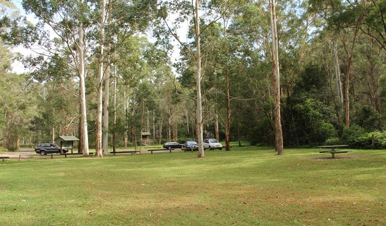 Guildford West NSW Accommodation Daintree