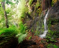 Fairy Bower Falls - Accommodation Mooloolaba