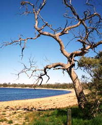 Lake Indoon - Whitsundays Tourism