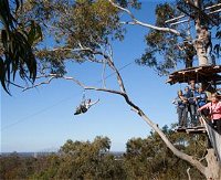 TreeTop Safari - Accommodation Perth