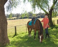 Sugarloaf Horse Centre - Accommodation Perth