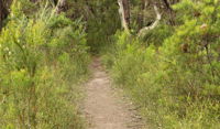 Three Views walking track - Attractions Perth