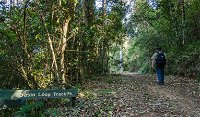 Basin Loop track - Accommodation Redcliffe