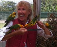 Maleny Botanic Gardens  Bird World - Accommodation Yamba