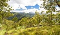 Toonumbar National Park - Accommodation Tasmania