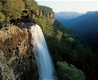 Fitzroy Falls - Accommodation Cooktown