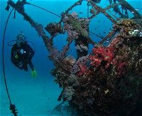 Severance Shipwreck Dive Site - SA Accommodation