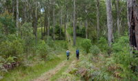 The Green Gully track - Accommodation Tasmania