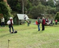 Forest of Tranquillity - Australian Rainforest Sanctuary - Accommodation Bookings