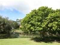 Hervey Bay Botanic Gardens - Accommodation Newcastle