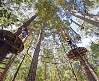 TreeTop Adventure Park Central Coast - Attractions Melbourne