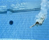 Dive Into History at Sydney Olympic Park Aquatic Centre - Accommodation Cooktown