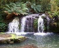 Barrington Tops National Park Walks - Accommodation Cooktown