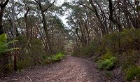 Budawang National Park - Attractions Melbourne